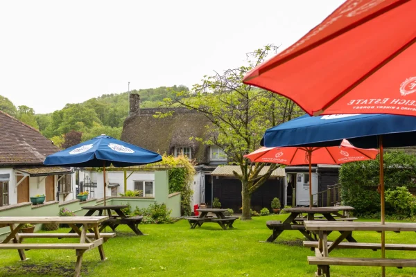 Brace of pheasants Inn Dorset UK garden access from garden rooms and outdoor seats
