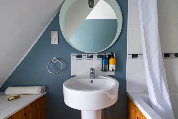 Brace of pheasants inn Somerset Dorset Countryside UK - pub room bathroom interior