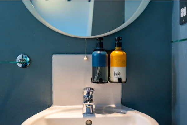 Brace of pheasants inn Somerset Dorset Countryside UK - pub room bathroom interior amenities