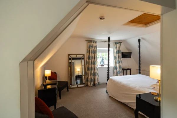 Brace of pheasants inn Somerset Dorset Countryside UK - pub room interior