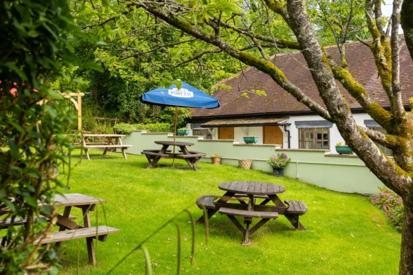 Brace of pheasants inn Somerset Dorset Countryside UK - garden with outside seats outside garden rooms
